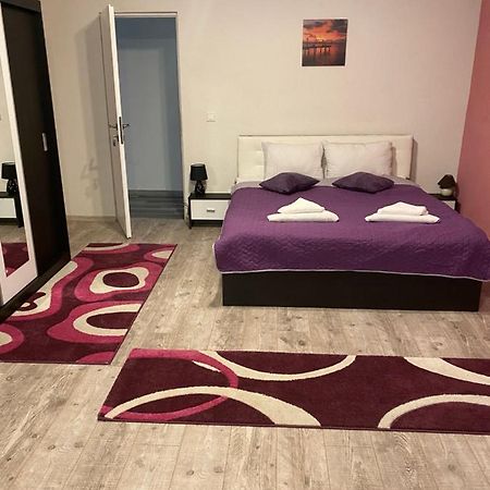 Guest House Zoreni Mociu エクステリア 写真