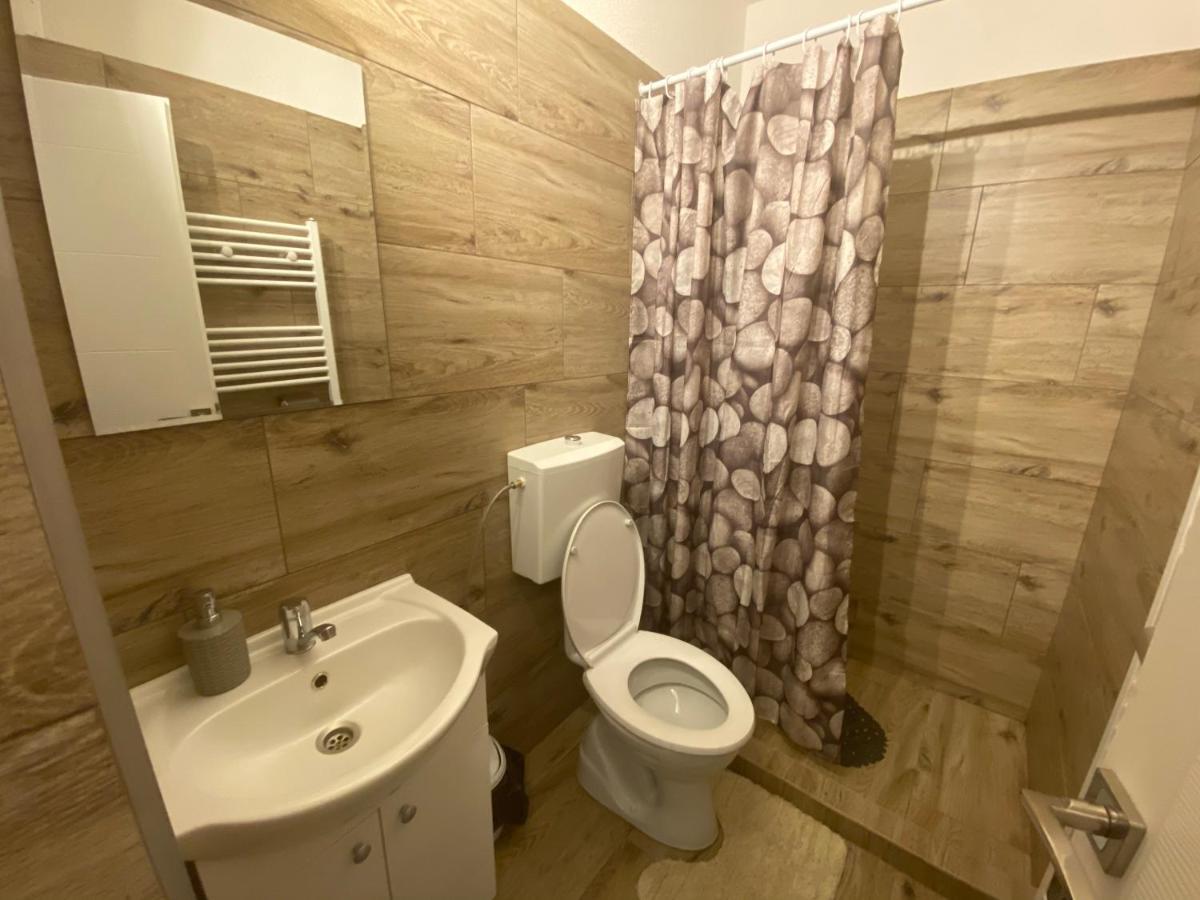 Guest House Zoreni Mociu エクステリア 写真