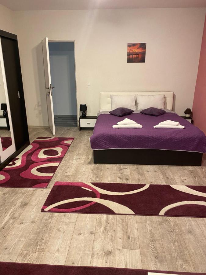 Guest House Zoreni Mociu エクステリア 写真