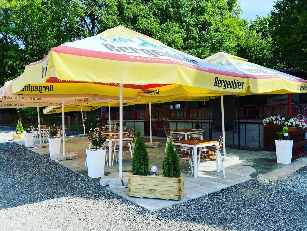 Guest House Zoreni Mociu エクステリア 写真