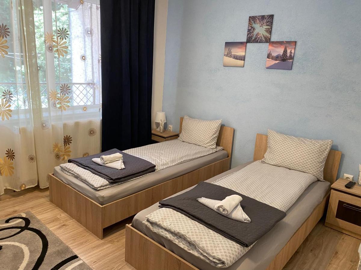 Guest House Zoreni Mociu エクステリア 写真